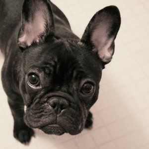 Meet your Posh Ambassador, Teresa